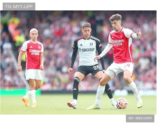 富勒姆战术灵活多变，巧妙布局助球队在英超赛场表现抢眼