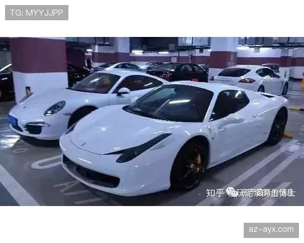 杨舒予的豪车车库开了新成员，邻居都开始侧目了！